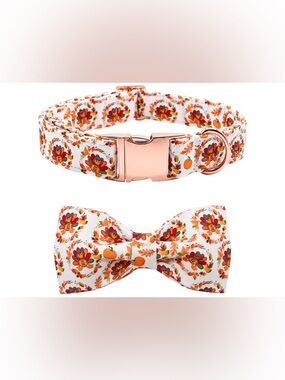 NEW-Medium Festive Fall Turkey Print Dog Collar & Bow Tie Set - White & Orange